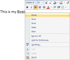 Correcting Your Spelling Errors Ms Powerpoint Tutorial