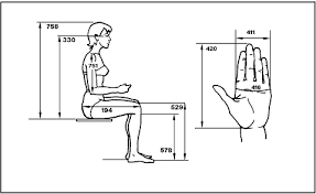 Anthropometry And Biomechanics Human Dimension Ergonomics Design
