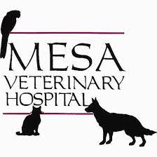 We're proud to have been serving the community since 1960 and look forward to many more years ensuring your pet gets the best veterinary care. Veterinarian In Golden Co Mesa Veterinary Hospital