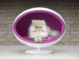 Why not give them their own cozy baskets to sleep in? Chic And Cozy Cat Beds 20 Modern Ideas
