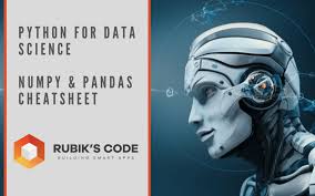 Image result for Pandas cheatsheet
