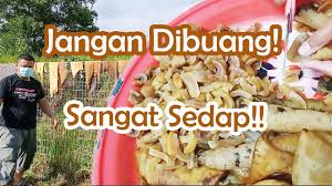 Biar, masakan kamu tidak bau dan cepat empuk serta enak rasanya. Cara Memproses Membersihkan Kulit Lembu Dari Awal Sampai Akhir Step By Step Youtube