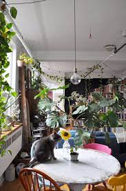 40 Plants Fill This Couple S 500 Square Foot Studio Decor Home Toronto Lofts