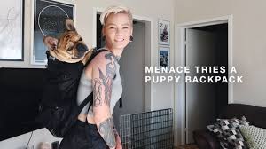 Not just french bulldog backpack harness, dog harness, custom dog harness, dog fashion harness, french bulldog puppy harness, dog gift. Is Menace A Backpack Dog Youtube