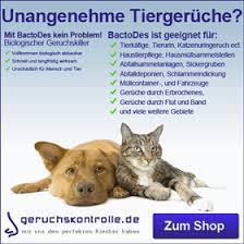 Zwar ist es sehr ärgerlich wenn katzenurin auf dem sofa ist aber mit dem richtigen mittel können sie die hinterlassenschaften samt dem uringeruch aus. Hundeurin In Der Wohnung Entfernen Sofort Tipps Hund Trainieren