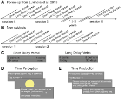 Southern cast iron november/december 2021. Quantifying The Contribution Of Individual Variation In Timing To Delay Discounting Scientific Reports