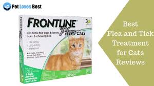 Best Flea And Tick Treatment For Cats Reviews For 2021 Protect Your Cat Pet Loves Best