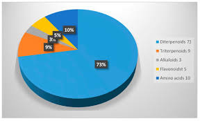 Image result for Suregada procera