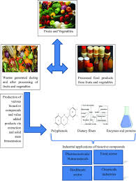 Fruit And Vegetable Waste Bioactive Compounds Their