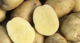 We did not find results for: Transpiration Eliminer Les Taches Jaunes Sur Un Vetement