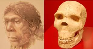 The term 'neanderthal' comes from the. Homo Neanderthalensis Medienwerkstatt Wissen C 2006 2021 Medienwerkstatt