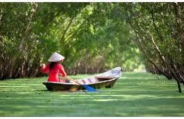 Tin tức