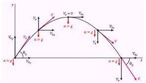 Fisica | Lezione 3 - Moto del proiettile | Science&Co.