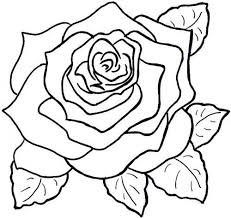 Como Dibujar La Vista Superior De Una Rosa Roses Drawing Rose Coloring Pages Flower Drawing