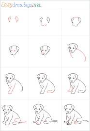 Add the eyes and paw details. How To Draw A Sitting Dog Step By Step 12 Easy Phase