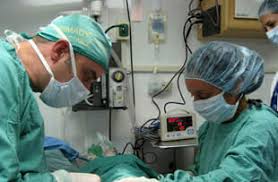 Our veterinary staff is available during normal business hours for routine examinations, vaccinations, pet dental. Clinical Experiences Prospective Students
