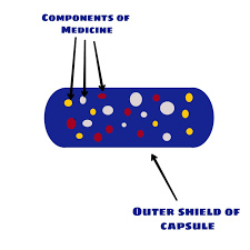 Encapsulation, in the context of c#, refers to an object's ability to hide data and behavior that are not necessary to its user. Encapsulation In Java With Examples Oops Concept Java Hungry