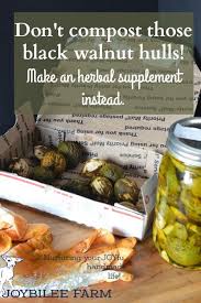 Make A Black Walnut Tincture For Local Iodine And Preserve Your Health Walnut Benefits Herbal Tinctures Black Walnuts
