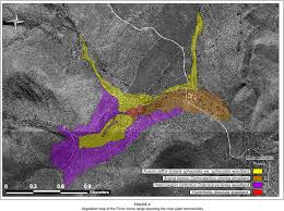 Image result for Hyperthelia