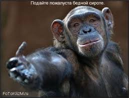 Делегація уряду хоче відвідати Вашингтон, щоб порозумітися з МВФ, - Уманський - Цензор.НЕТ 3566