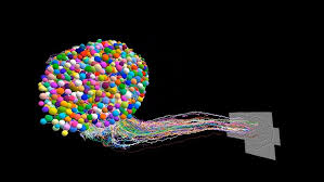 The First Complete Brain Map of an Insect May Reveal Secrets for Better AI