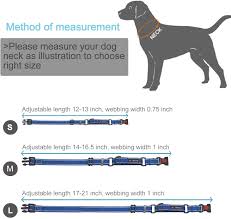 If you are planning to get a martingale collar, you'll need to measure your dog's neck circumference just behind his ears. Haapaw 2 Packs Martingale Dog Collar With Quick Release Buckle Reflective Dog Training Collars For Small Medium Large Dogs Dogs Collars Harnesses Leashes