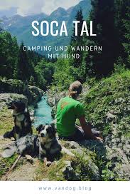 Pin Auf Tier Freunde Rat Tipps Diy Fur Hund Katze Pferd Wildtiere Und All Die Anderen Tollen Tiere Auf Der Erde