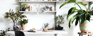 See more ideas about plant mom aesthetic, plant mom, plant mom outfit. Press Baylor Chapman