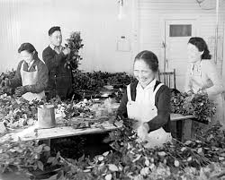 Old Richmond greenhouses captured in photos