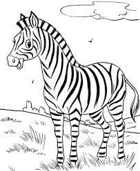 Salah satu gambar yang paling banyak ada pada buku gambar mewarnai adalah gambar bunga. Pin Di Gambar Mewarnai