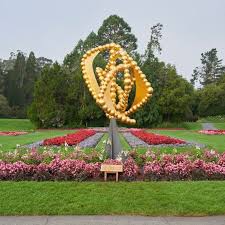 We did not find results for: News Flash San Francisco Recreation And Parks Ca Civicengage