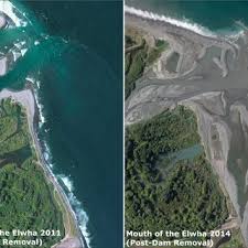 Currently there are no locations that require this action. Examples Of Exposure Integrity And Finite Sites A Exposure Site Download Scientific Diagram