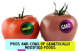 Pros And Cons Of Gm Food Recherche Google Genetically Modified Food Food Genetically Modified