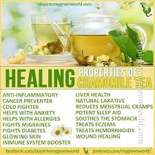 The Amazing Benefits Of Chamomile Tea Chamomile Tea Benefits Health Chamomile Tea