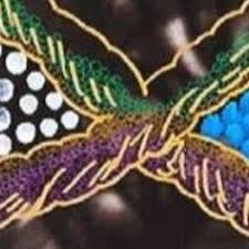 Steven Asquith (@asquith_studiocomplex) • Instagram photos and videos