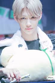 Ali Rivera (alidiamynt)