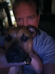 Missing cat in Federal Way, 320th library area