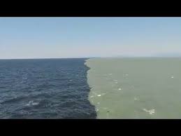 Atlantic And Pacific Ocean Do Not Mix Why Do The Two Oceans Not Mix It S Not Two Oceans Meeting Its Glacial Melt Water M In 2020 Two Oceans Meet Pacific Ocean Ocean