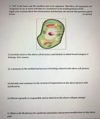 What is the smallest unit of life. 3 Cell Is The Basic And The Smallest Unit Of An Chegg Com