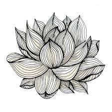 Black And White Line Art Design Lotus Flower Black And White Nature Organic Design Drawing Abstract Unique Lines Pattern Art Print Black And White Doodle Flower Drawing Lotus Drawing