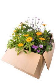 We ship our flowers with ups and fedex, and due to their regulations we do not offer samples, as smaller quantities in a box could become damaged during shipping your flowers will still be fresh for the event. Mailing Garden Plants Tips On Sending Plants Through Mail
