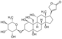 Image result for Strophanthus bequaertii