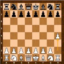 And they are enjoying it! What Is A Guide To Use To Get From A Complete Chess Beginner To An Advanced Player Quora