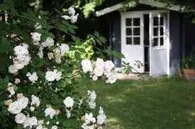 Sichtschutz Im Cottage Garten 10 Ideen In 2020 Cottage Garten Sichtschutz Garten Kletterhortensie