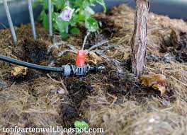Gartenbewässerung der garten ist eine ruhezone zum erholen und wohlfühlen! Das Gardena Micro Drip Bewasserungs System Planen Und Im Garten Verlegen Erfahrung Topfgartenwelt