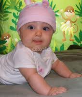 Stock Image Search Results