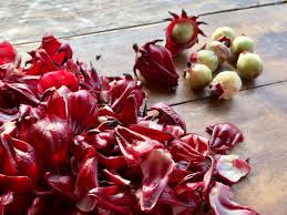 The flowers have a mild citrusy taste and can be used to. Growing And Using Hibiscus Sabdariffa Hibiscus Edible Flowers Roselle Plant