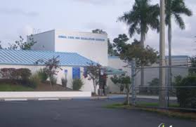 Adopt two and pay only $35. Broward County Animal Care Adoption Center 1870 Sw 39th St Fort Lauderdale Fl 33315 Yp Com