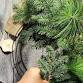 Evergreen Wreath Workshop event image