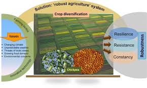 Food and fodder production (grain, leaf, stalks), residue it helps control weeds, pests and diseases hence reduce reliance on synthetic chemicals: Diversifying Crop Rotation Improves System Robustness Springerlink